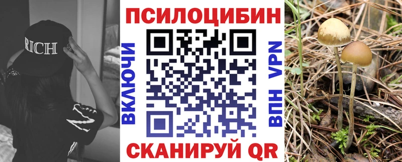 Галлюциногенные грибы MAGIC MUSHROOMS Родники