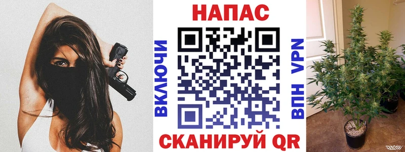 Марихуана конопля Родники